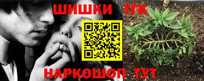 индика Конаково