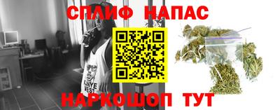 индика Конаково