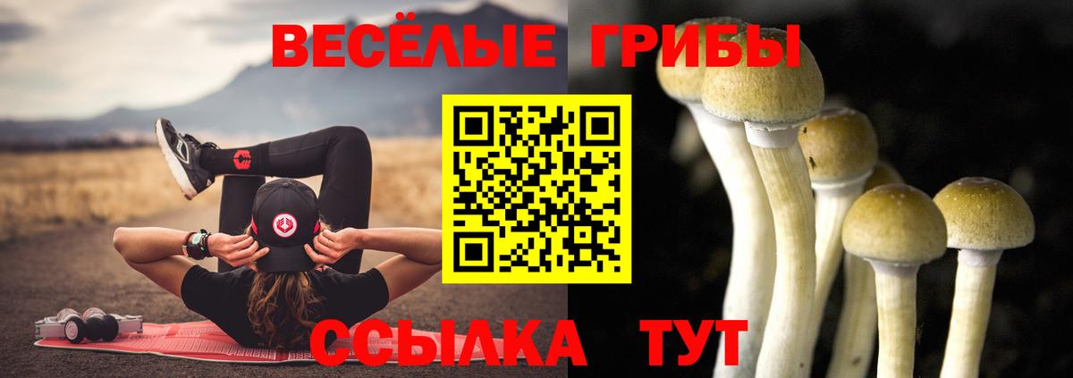 Псилоцибиновые грибы Magic Shrooms Красноармейск